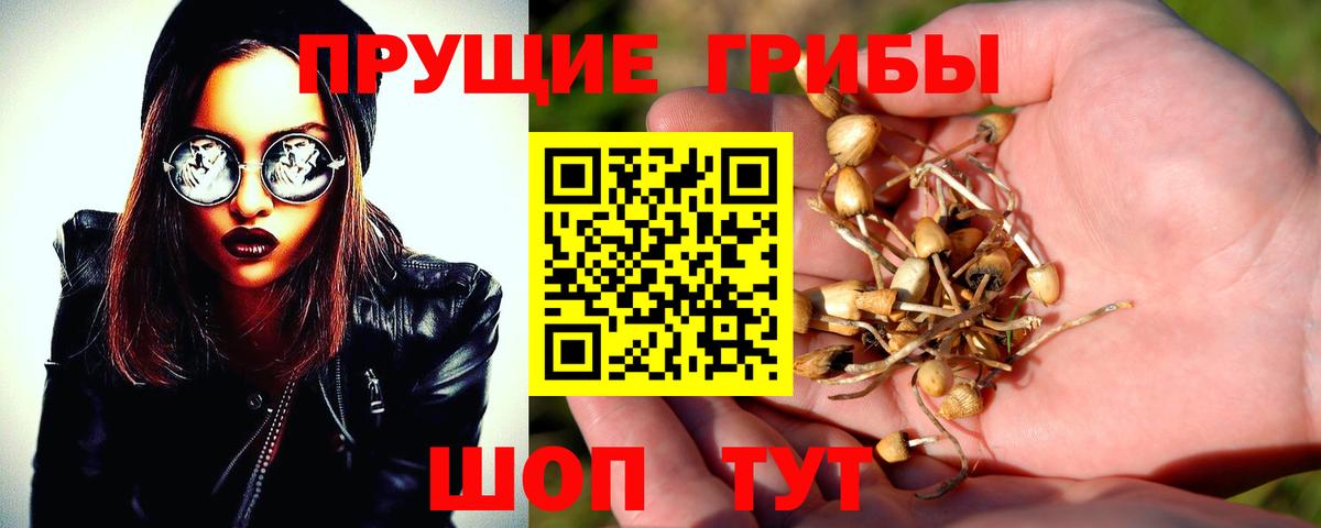 Шахты  Галлюциногенные грибы Cubensis  Вход с VPN  Галлюциногенные грибы мухоморы 